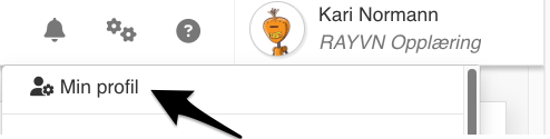RAYVN.png
