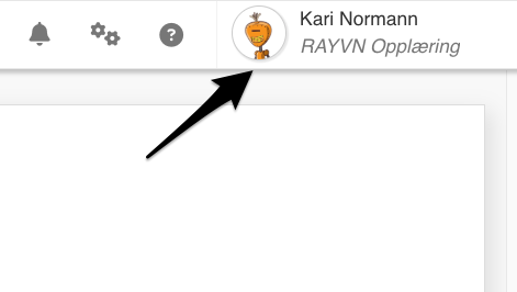 RAYVN.png